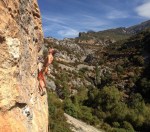 aaronclimbingorangeshorts